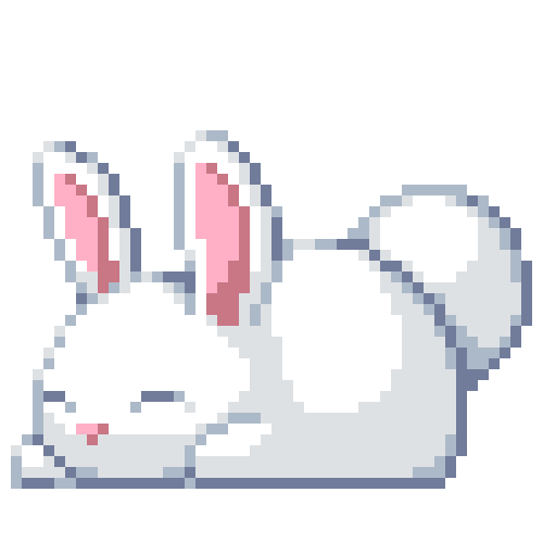 cute white bunny sleeping